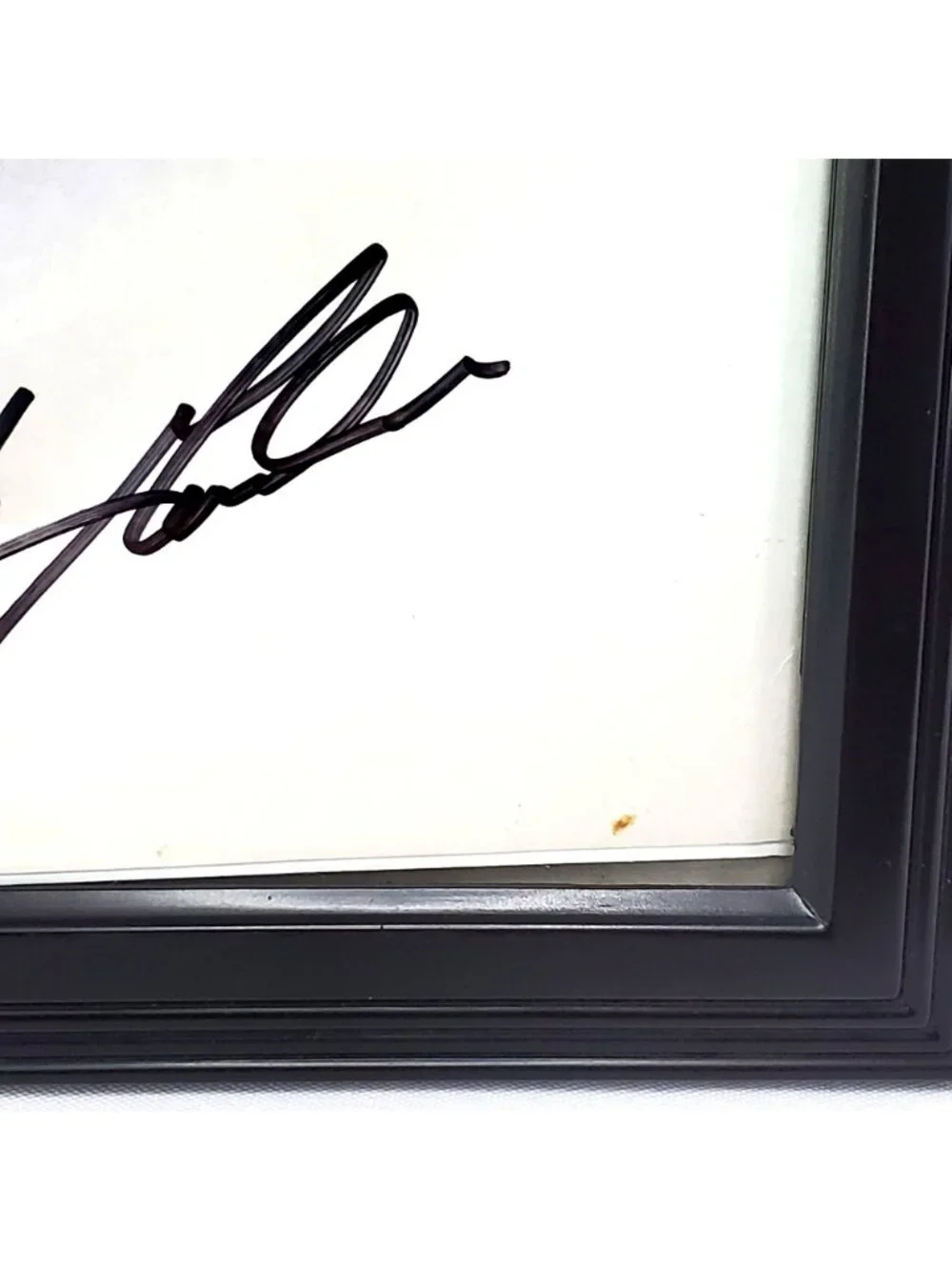 Jeff Gordon #24 DuPont Chevy Lumina ROOKIE YEAR 1994 Autographed Framed Picture - Picture 3 of 8